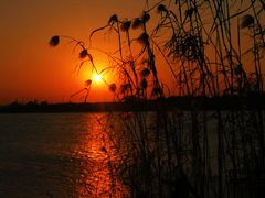 -千龙湖生态旅游度假区