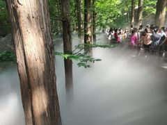 -簋街