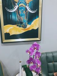 -北京炫美医疗美容