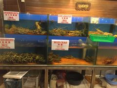-真浪花园海鲜餐馆