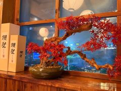 -鸟鹏烧鸟居酒屋(龙岗万科店)