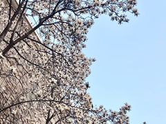 -南京古林公园