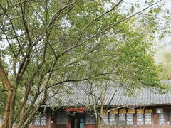 -唐崖土司城遗址