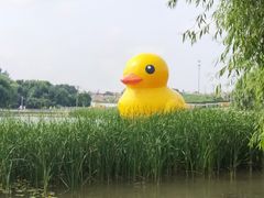 -呼兰河口湿地公园