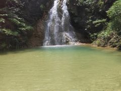 -南海湾森林生态园