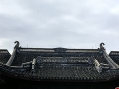 景点-上海海湾国家森林公园