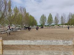 -北京群众马术培训基地