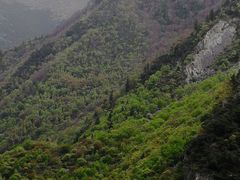 -叠溪松坪沟景区