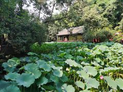 -成都武侯祠博物馆