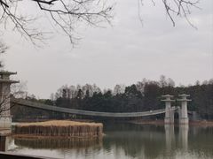 -东湖落雁景区