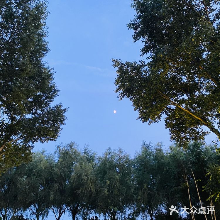 甜美妍打卡——长岭湖集酷小镇🏕