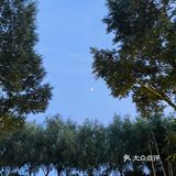 甜美妍打卡——长岭湖集酷小镇🏕