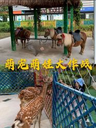 -萌宠亲子动物乐园(槐房万达店)