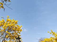 -长洲岛