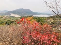 -北京十三陵国家森林公园蟒山景区