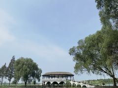 -洪湖生态旅游区