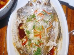 -老雒阳面馆·水席(洛宁高速路口店)