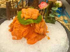 -海月轩海鲜豆捞(紫金塔店)