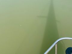 -上海美帆帆船露营基地