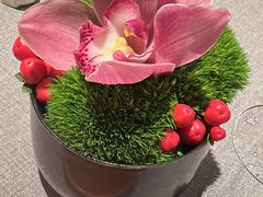 -柿合缘新京菜(国金中心商场店)