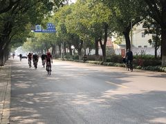 -上海长兴岛郊野公园