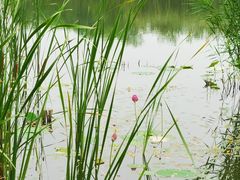 -中关村生命科学园