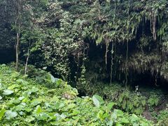 -海口火山口国家地质公园