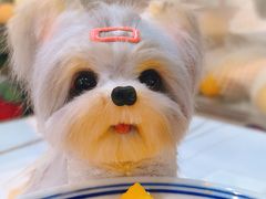 -糖潮糖水铺(省府店)