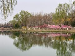 -大兴滨河森林公园