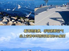 -南诏风情岛