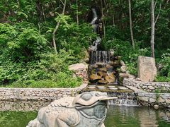 -大连天门山国家森林公园