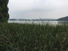 -东湖落雁景区