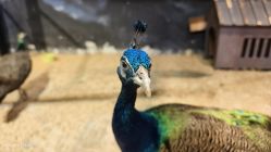 -酷嗒动物文化乐园(cutezoo西溪乐天城店)