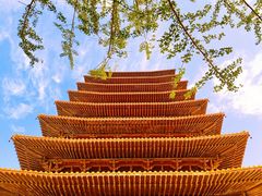 -牛首山文化旅游区