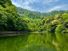 -青城山