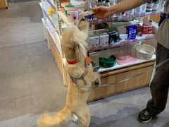 -宠物家(双井店)