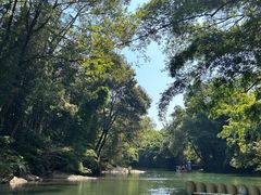 -九曲溪竹筏码头