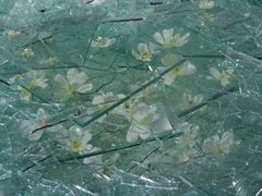 -成都许燎源现代设计艺术博物馆