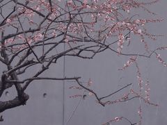 -静安雕塑公园