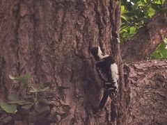 -东华门大街小区