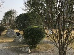 -府河摄影公园