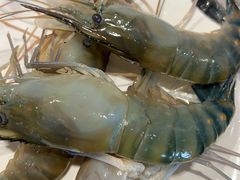 -川骄海鲜自助(亚运村店)