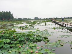 -渌洋湖湿地公园