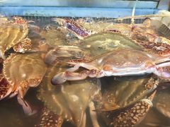 -沈家门海鲜夜排档(东港店)