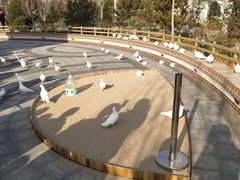 -南宫五洲植物乐园