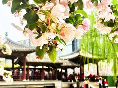 -元大都城垣遗址公园