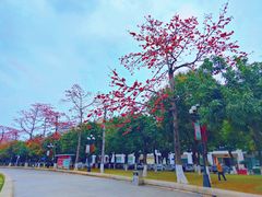 -花都广场