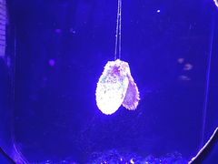 -欢乐海岸海洋奇梦馆