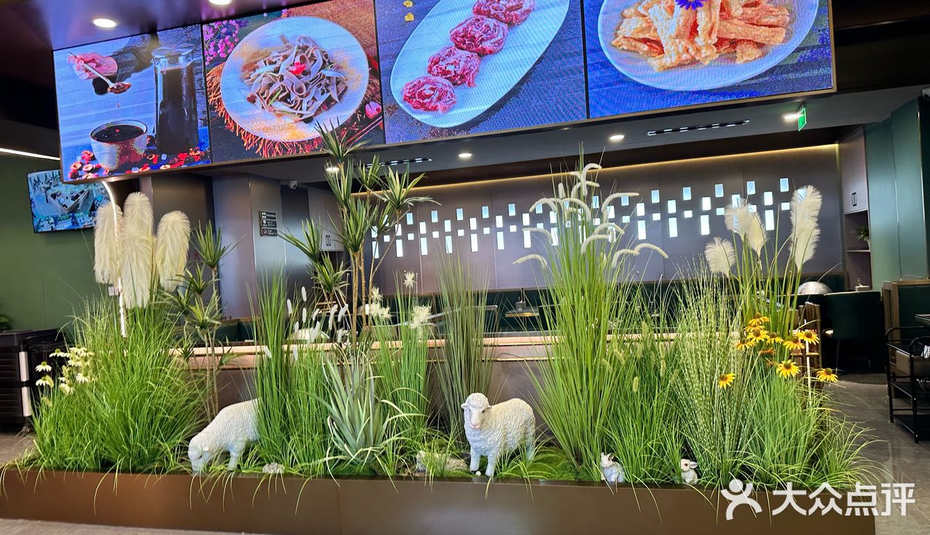 谁懂313羊庄的含金量啊!鲜掉眉毛啊!