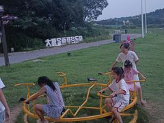 -大塘金香草谷